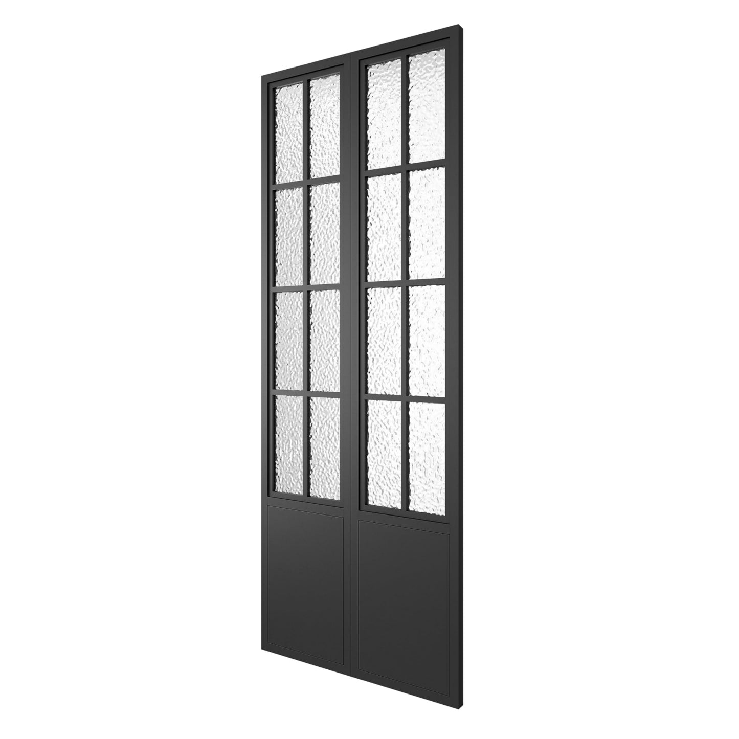 French Black Frame Single Bifold Barn Door