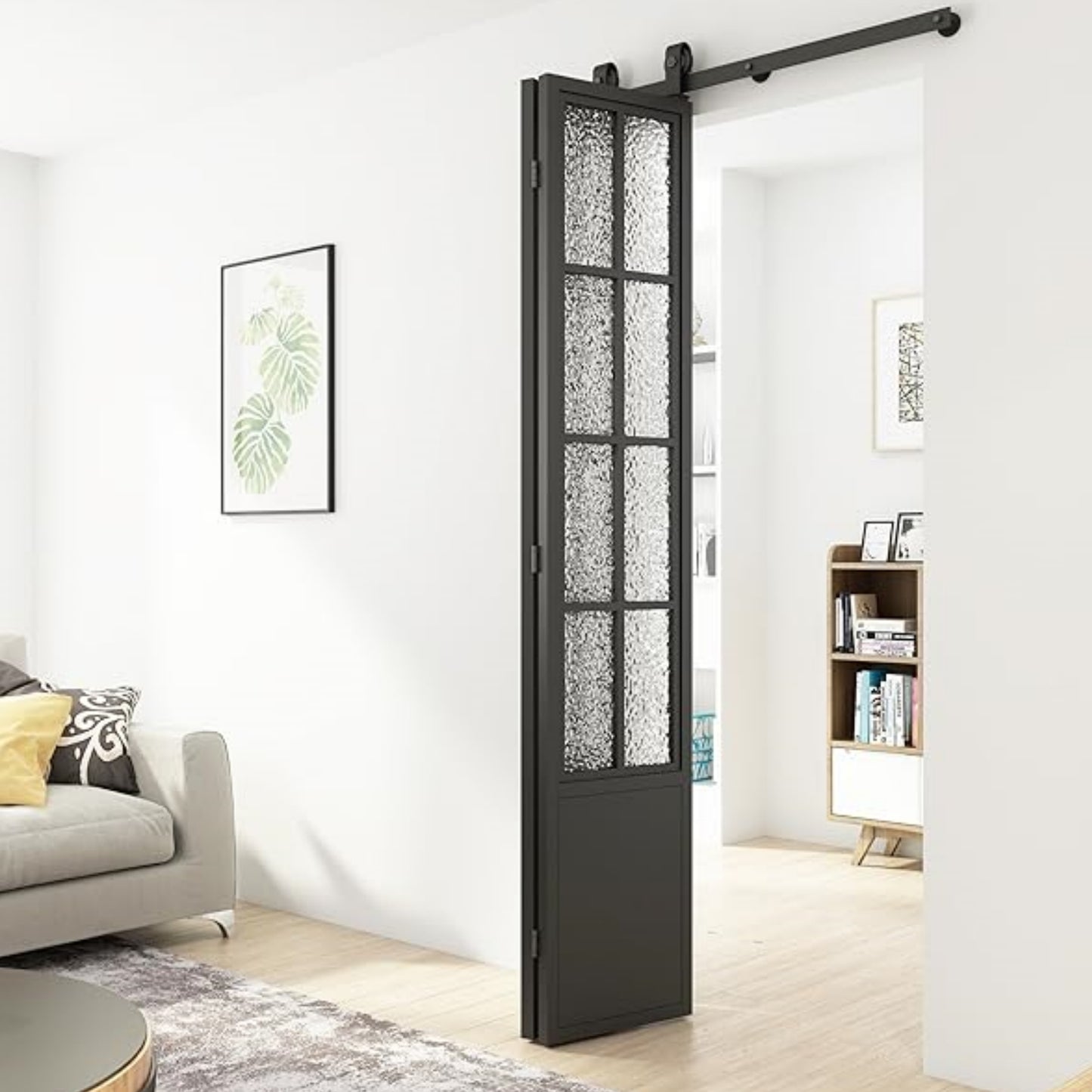French Black Frame Single Bifold Barn Door