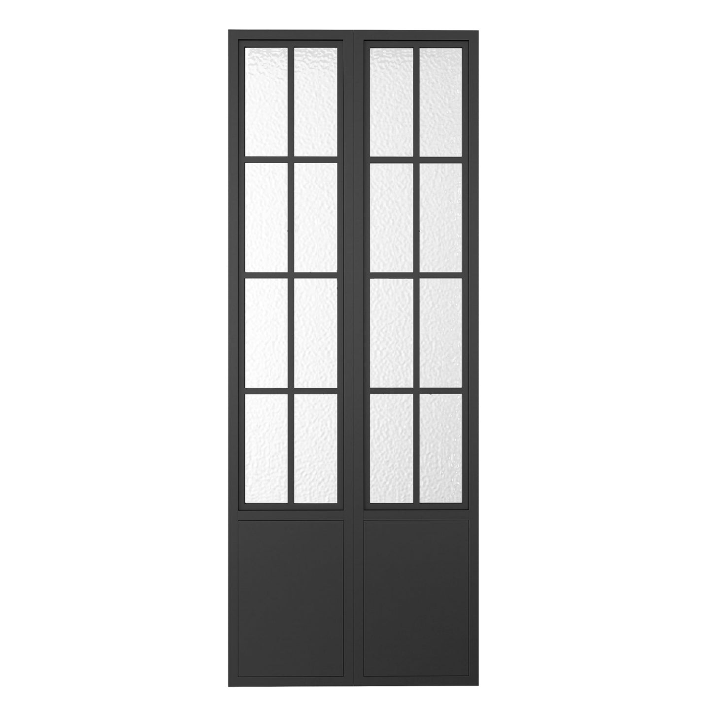 French Black Frame Single Bifold Barn Door