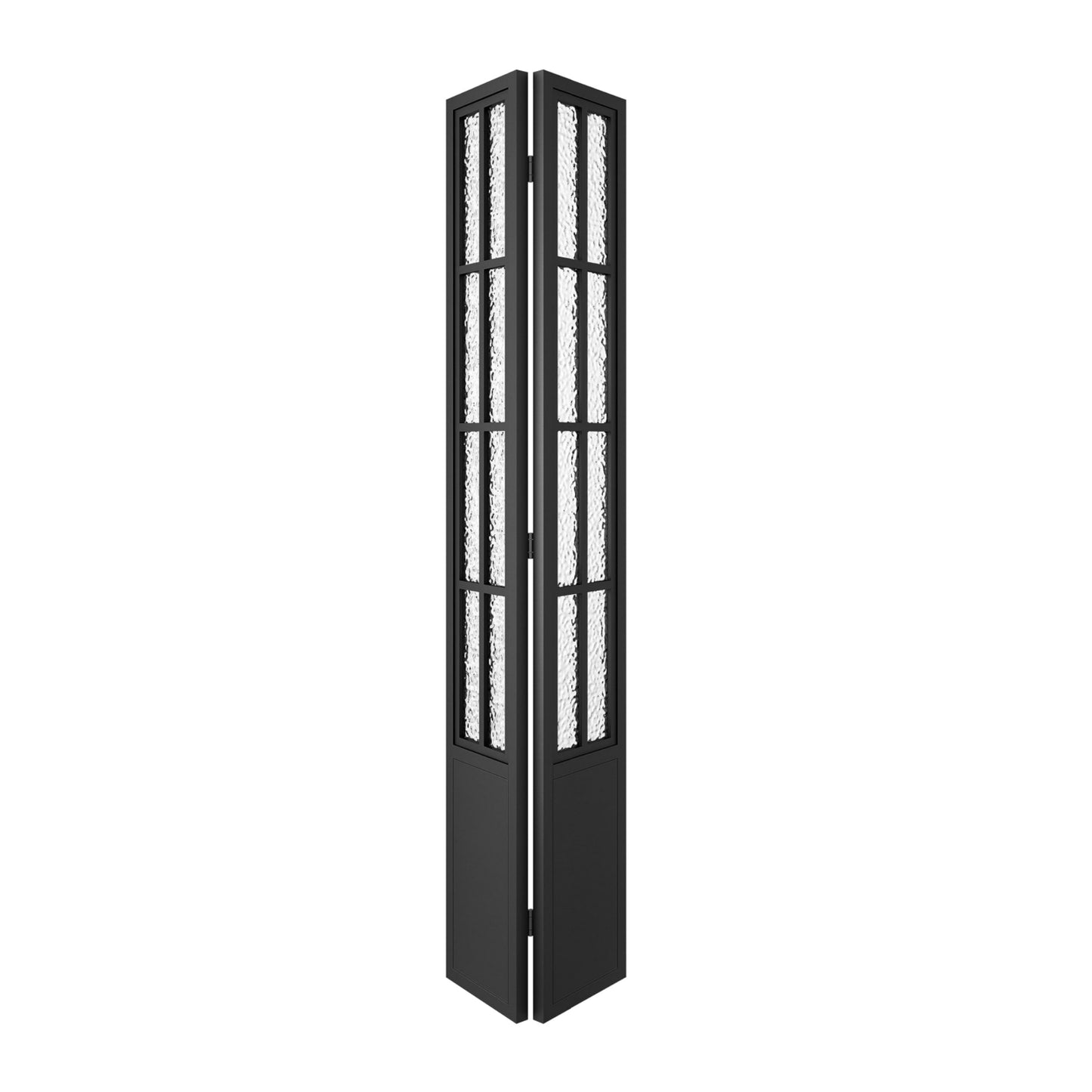 French Black Frame Single Bifold Barn Door