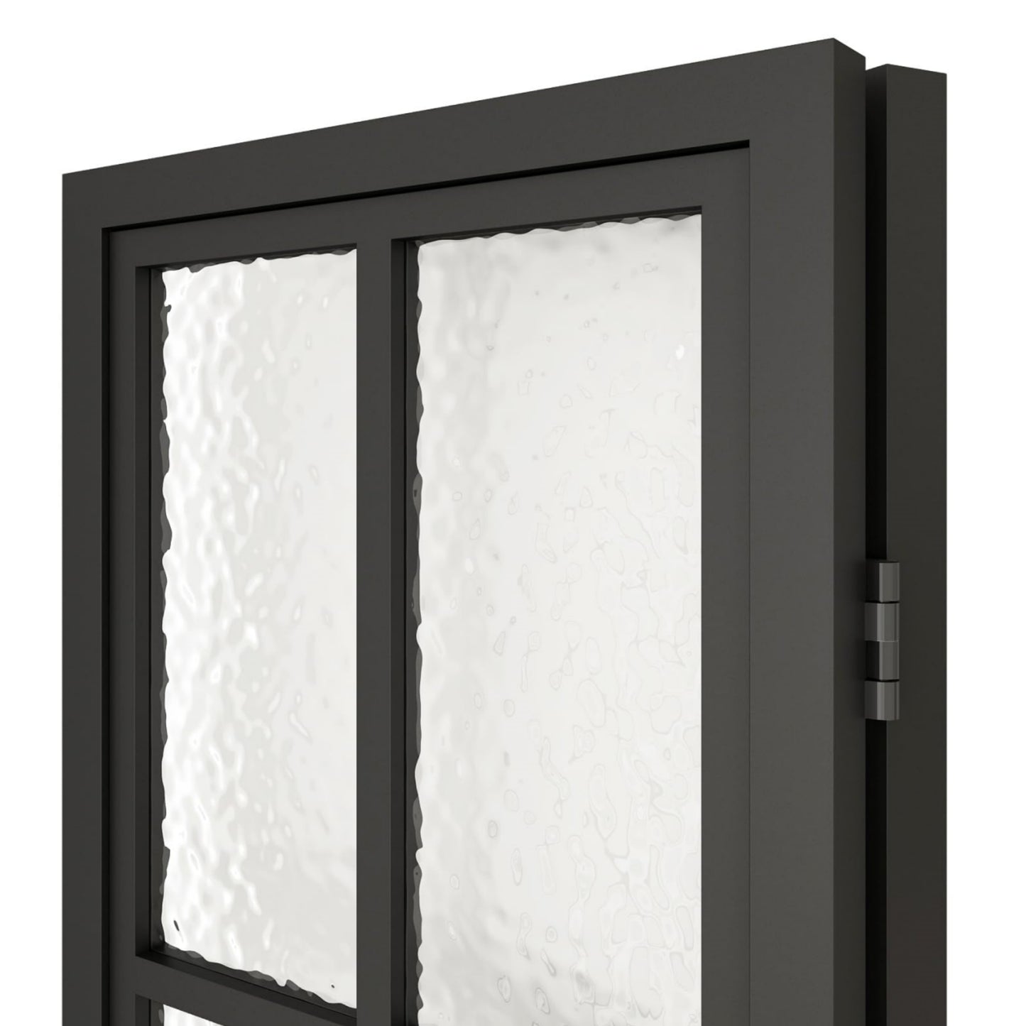 French Black Frame Single Bifold Barn Door